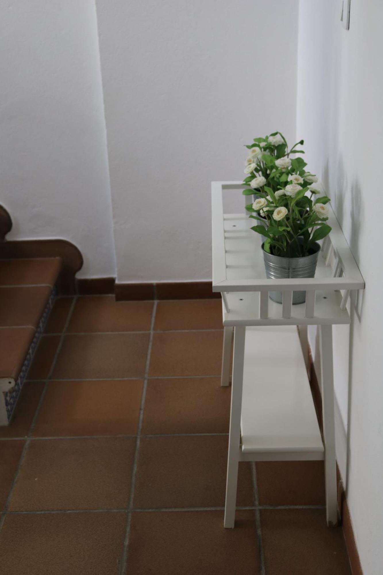 Los Balcones Del Molinero Vejer de la Frontera Buitenkant foto